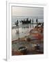 Local Fishermen Landing Catch, Benaulim, Goa, India, Asia-Stuart Black-Framed Photographic Print