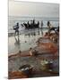 Local Fishermen Landing Catch, Benaulim, Goa, India, Asia-Stuart Black-Mounted Photographic Print