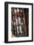 Local Food Stall Selling Salamies and Cheese Near Tafi Del Valle-Yadid Levy-Framed Photographic Print