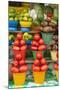 Local Fruit and Vegetables at a Market in San Juan Chamula, Mexico-Michel Benoy Westmorland-Mounted Photographic Print