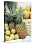 Local Fruit, Martinique, Lesser Antilles, West Indies, Caribbean, Central America-Yadid Levy-Stretched Canvas