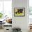 Local Fruits, Maracuja and Nuts, in the Central Market of Belem, Brazil, South America-Olivier Goujon-Framed Photographic Print displayed on a wall