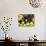 Local Fruits, Maracuja and Nuts, in the Central Market of Belem, Brazil, South America-Olivier Goujon-Mounted Photographic Print displayed on a wall