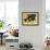 Local Fruits, Maracuja and Nuts, in the Central Market of Belem, Brazil, South America-Olivier Goujon-Framed Photographic Print displayed on a wall