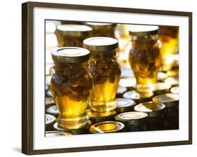 Local Honey, Anafonitria, Zakynthos, Ionian Islands, Greece-Walter Bibikow-Framed Photographic Print