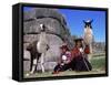 Local Indian Women with Domestic Llamas, Sacsayhumman, Cusco, Peru, South America-Pete Oxford-Framed Stretched Canvas