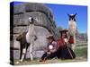 Local Indian Women with Domestic Llamas, Sacsayhumman, Cusco, Peru, South America-Pete Oxford-Stretched Canvas