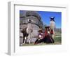 Local Indian Women with Domestic Llamas, Sacsayhumman, Cusco, Peru, South America-Pete Oxford-Framed Premium Photographic Print