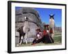 Local Indian Women with Domestic Llamas, Sacsayhumman, Cusco, Peru, South America-Pete Oxford-Framed Photographic Print