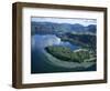 Local Lakes Surrounded by Forests and Giant Ferns, Rotorua, South Auckland, New Zealand-D H Webster-Framed Photographic Print