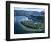 Local Lakes Surrounded by Forests and Giant Ferns, Rotorua, South Auckland, New Zealand-D H Webster-Framed Photographic Print