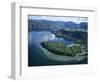 Local Lakes Surrounded by Forests and Giant Ferns, Rotorua, South Auckland, New Zealand-D H Webster-Framed Photographic Print