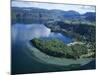 Local Lakes Surrounded by Forests and Giant Ferns, Rotorua, South Auckland, New Zealand-D H Webster-Mounted Photographic Print