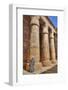 Local Man, Columns in the Great Hypostyle Hall, Karnak Temple-Richard Maschmeyer-Framed Photographic Print