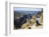 Local Man Looking at a Huge Canyon on the Dixsam Plateau on the Island of Socotra-Michael Runkel-Framed Photographic Print