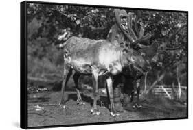 Local Man with a Reindeer, Lyngen, Northern Norway, C1920S-C1930S-null-Framed Stretched Canvas