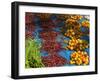 Local Market Selling Vegetables, Orissa, India-Keren Su-Framed Photographic Print