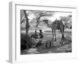 Local Men of Somaliland with Their Camels, 1935-null-Framed Premium Photographic Print