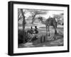 Local Men of Somaliland with Their Camels, 1935-null-Framed Photographic Print