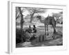 Local Men of Somaliland with Their Camels, 1935-null-Framed Photographic Print