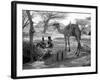 Local Men of Somaliland with Their Camels, 1935-null-Framed Photographic Print