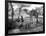 Local Men of Somaliland with Their Camels, 1935-null-Framed Photographic Print