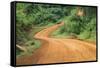 Local people traveling on dirt road, west Uganda-Keren Su-Framed Stretched Canvas