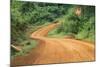 Local people traveling on dirt road, west Uganda-Keren Su-Mounted Photographic Print