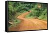 Local people traveling on dirt road, west Uganda-Keren Su-Framed Stretched Canvas