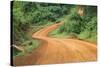 Local people traveling on dirt road, west Uganda-Keren Su-Stretched Canvas