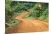 Local people traveling on dirt road, west Uganda-Keren Su-Mounted Premium Photographic Print