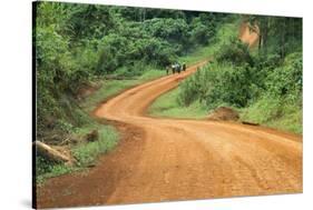 Local people traveling on dirt road, west Uganda-Keren Su-Stretched Canvas