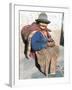 Local Resident, Cuzco, Peru, South America-Tony Waltham-Framed Photographic Print