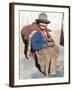 Local Resident, Cuzco, Peru, South America-Tony Waltham-Framed Photographic Print