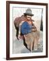 Local Resident, Cuzco, Peru, South America-Tony Waltham-Framed Photographic Print