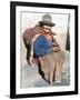 Local Resident, Cuzco, Peru, South America-Tony Waltham-Framed Photographic Print