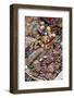 Local Souvenir at the Market-Yadid Levy-Framed Photographic Print