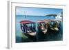 Local tourist boats Labadie, Haiti, Caribbean, Central America-Michael Runkel-Framed Photographic Print