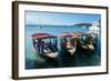 Local tourist boats Labadie, Haiti, Caribbean, Central America-Michael Runkel-Framed Photographic Print