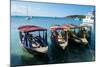 Local tourist boats Labadie, Haiti, Caribbean, Central America-Michael Runkel-Mounted Photographic Print