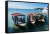 Local tourist boats Labadie, Haiti, Caribbean, Central America-Michael Runkel-Framed Stretched Canvas