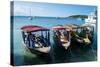 Local tourist boats Labadie, Haiti, Caribbean, Central America-Michael Runkel-Stretched Canvas