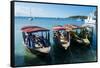 Local tourist boats Labadie, Haiti, Caribbean, Central America-Michael Runkel-Framed Stretched Canvas