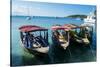 Local tourist boats Labadie, Haiti, Caribbean, Central America-Michael Runkel-Stretched Canvas