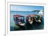 Local tourist boats Labadie, Haiti, Caribbean, Central America-Michael Runkel-Framed Photographic Print