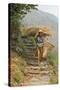 Local Woman Follows a Trail Carrying a Basket Called a Doko, Annapurna, Nepal-David Noyes-Stretched Canvas