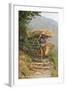 Local Woman Follows a Trail Carrying a Basket Called a Doko, Annapurna, Nepal-David Noyes-Framed Photographic Print