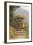 Local Woman Follows a Trail Carrying a Basket Called a Doko, Annapurna, Nepal-David Noyes-Framed Photographic Print