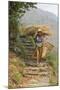Local Woman Follows a Trail Carrying a Basket Called a Doko, Annapurna, Nepal-David Noyes-Mounted Photographic Print