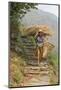 Local Woman Follows a Trail Carrying a Basket Called a Doko, Annapurna, Nepal-David Noyes-Mounted Photographic Print